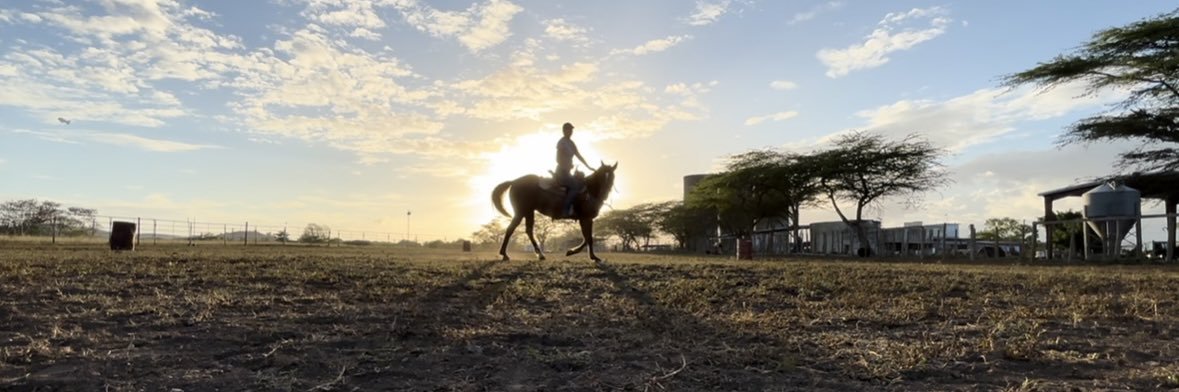 Nina la asesina 🤠 banner
