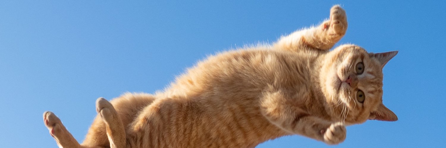 iambeerse's profile banner image