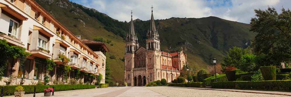Comandante Zavala banner