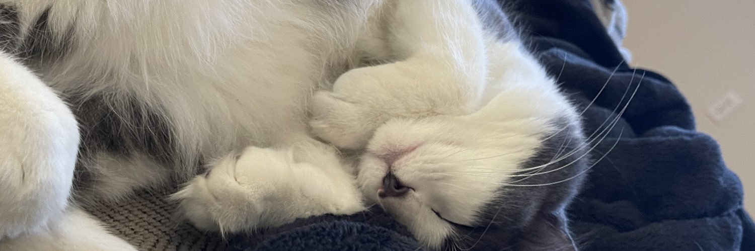 Mike Goodrich banner