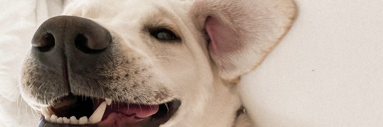 madisonnmcc's profile banner image
