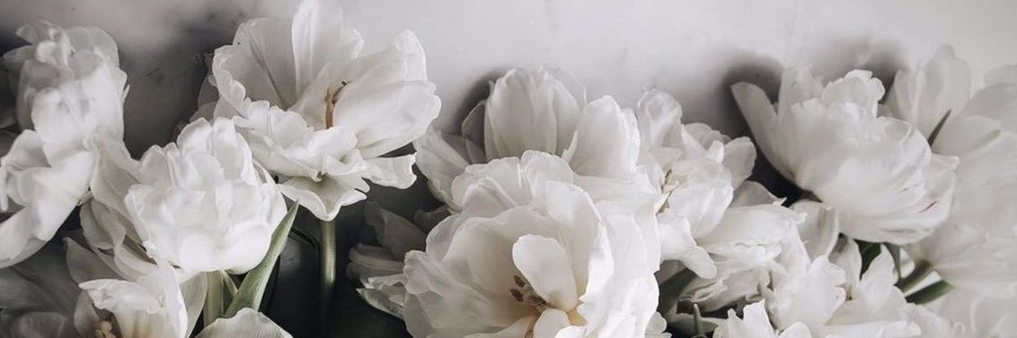 Thelightofharry's profile banner image