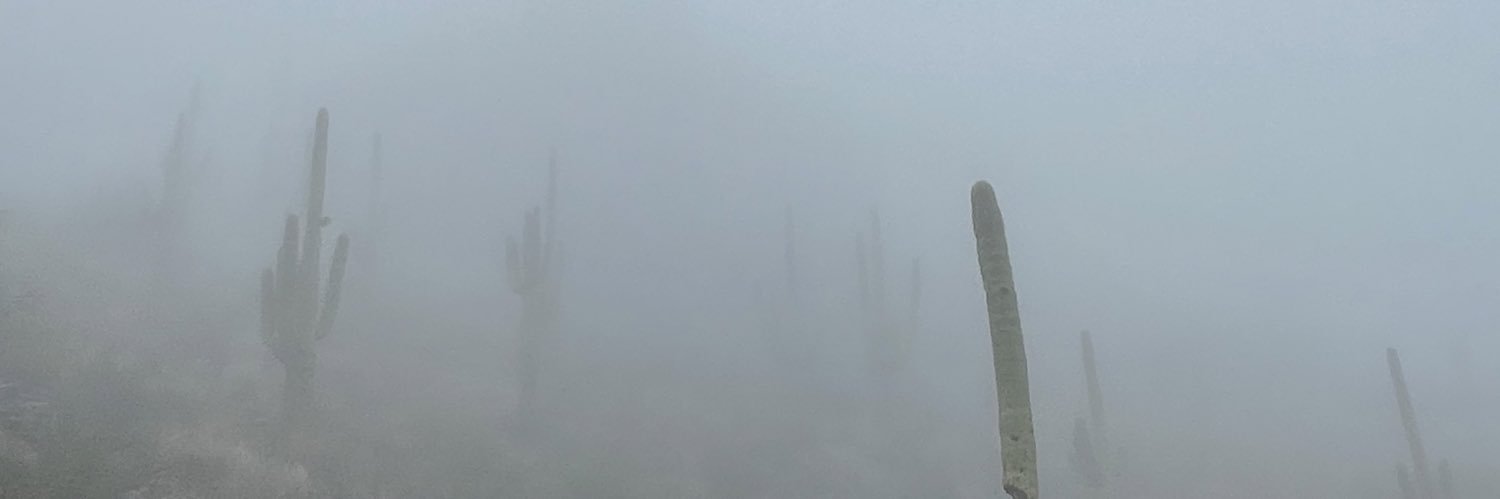 Greywolfe725's profile banner image