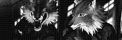 Shadowanroid's profile banner image