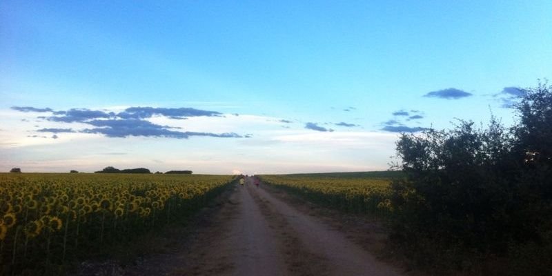 jonan_matu's profile banner image