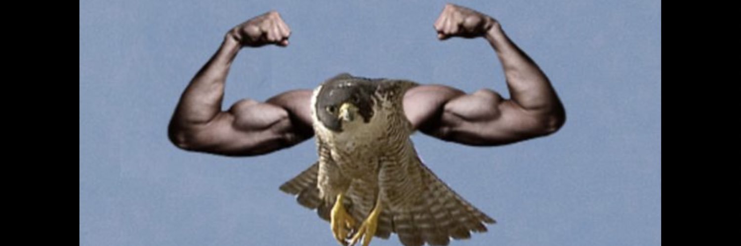 Lehigh Graduate Student Senate banner