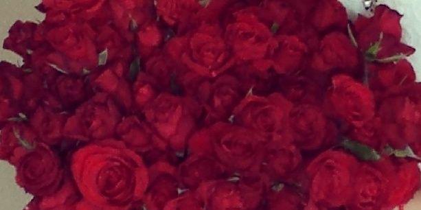 fernandaec25's profile banner image