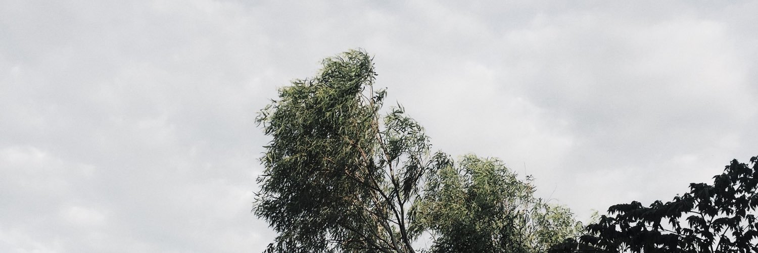 celinagoss's profile banner image