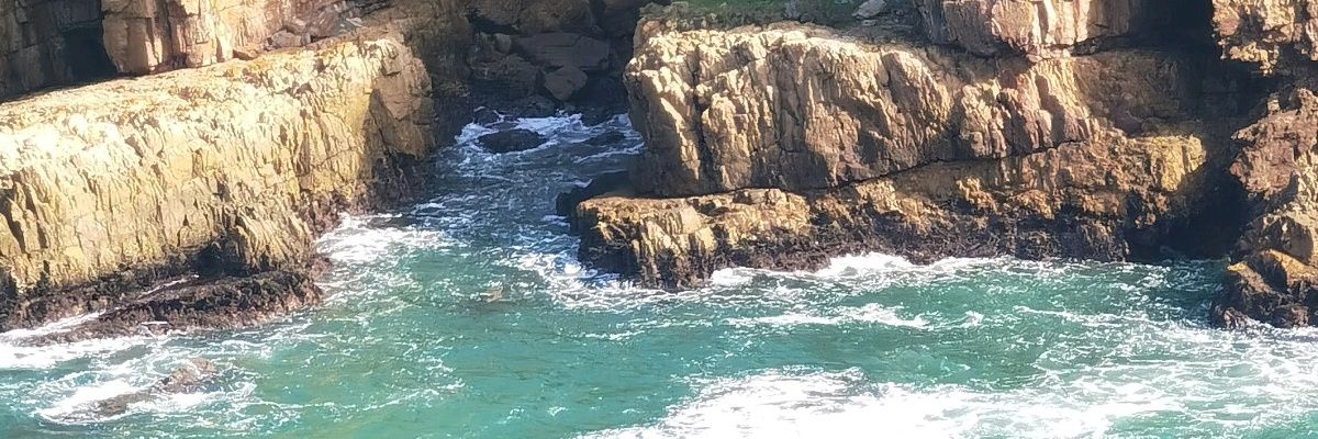 JillSchoeman's profile banner image