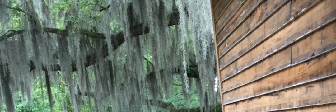steele_tay's profile banner image