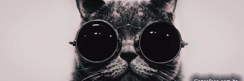🌷 banner