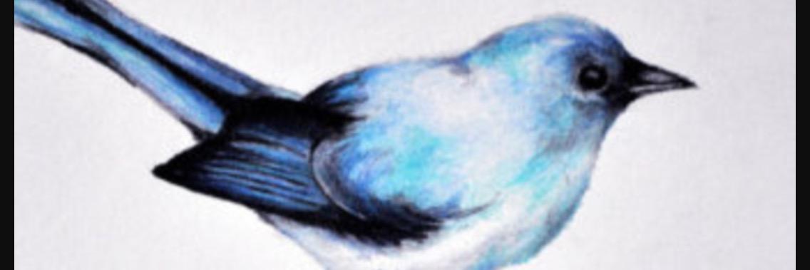abbachacha's profile banner image