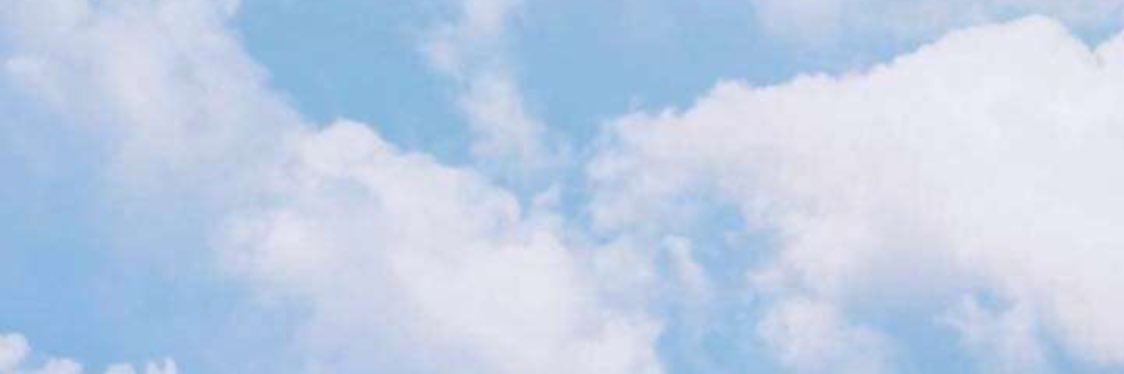 SHelmstadter's profile banner image