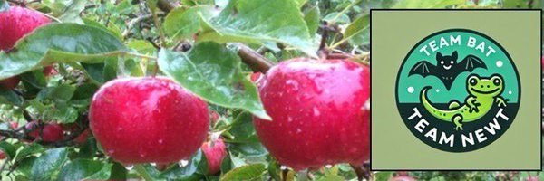 LittleStourOrch Profile Banner