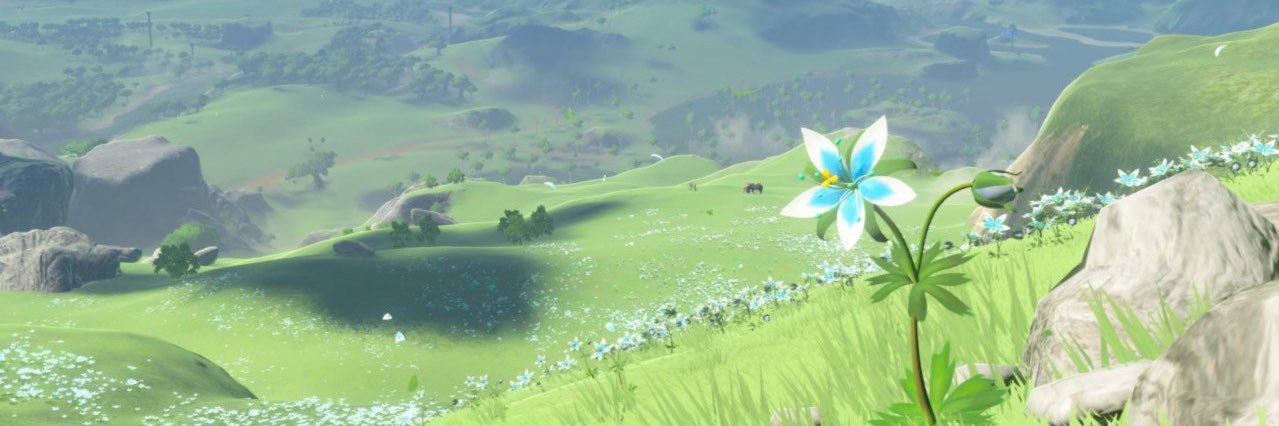 Noah Sanchez 💎 banner