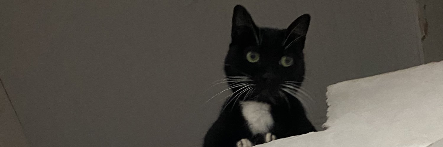 Fernanda banner