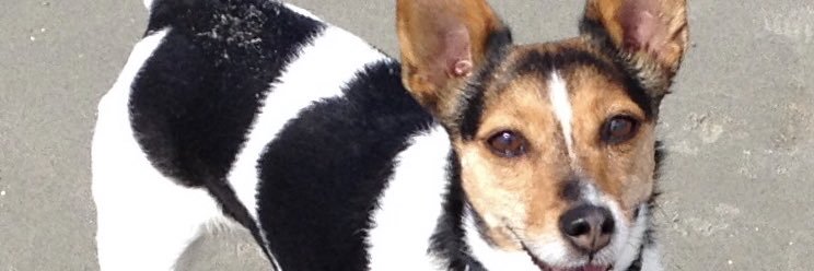 debshenderson76's profile banner image