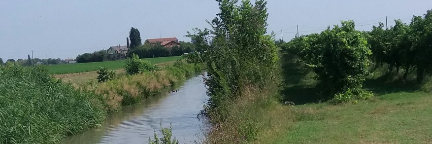 CCuccolini's profile banner image