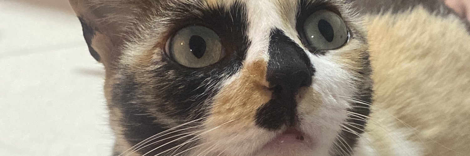 geeouuveena's profile banner image