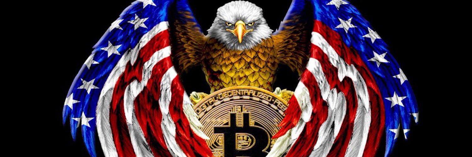 Texas Patriot banner