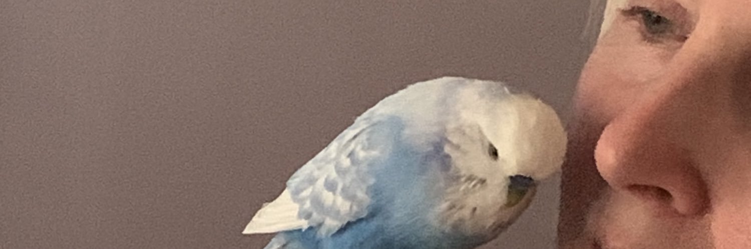 ScottishLassDi's profile banner image
