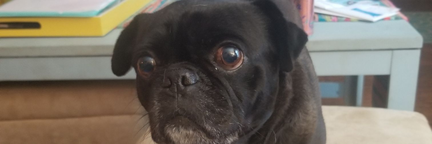 TheCuriousJimmy's profile banner image