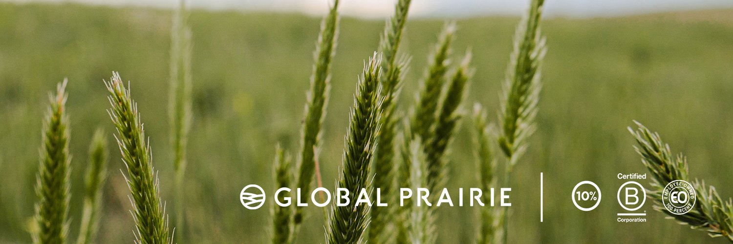 globalprairie's profile banner image