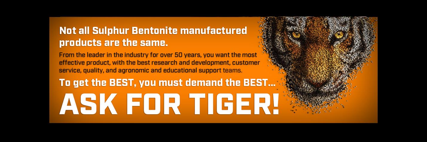 TigerSulProduct's profile banner image