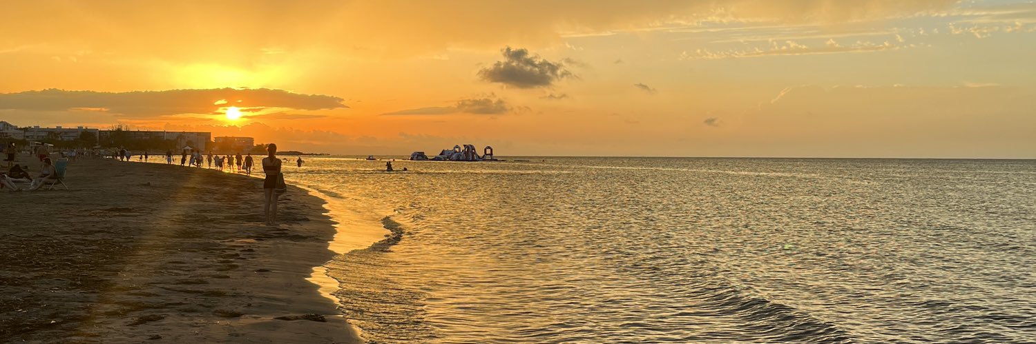 ari_colon's profile banner image