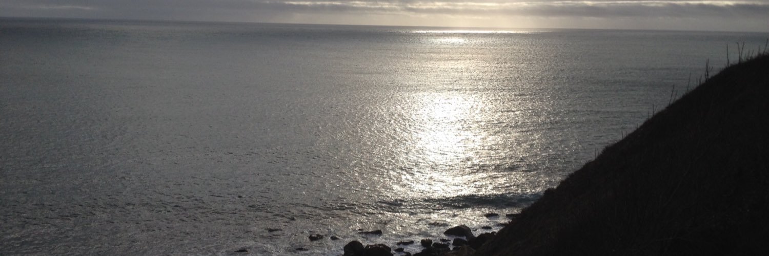 Heather Viles banner