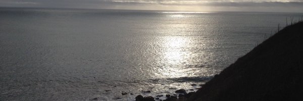 Geodiverse Profile Banner