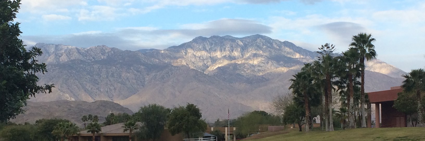 Bev Berns  banner