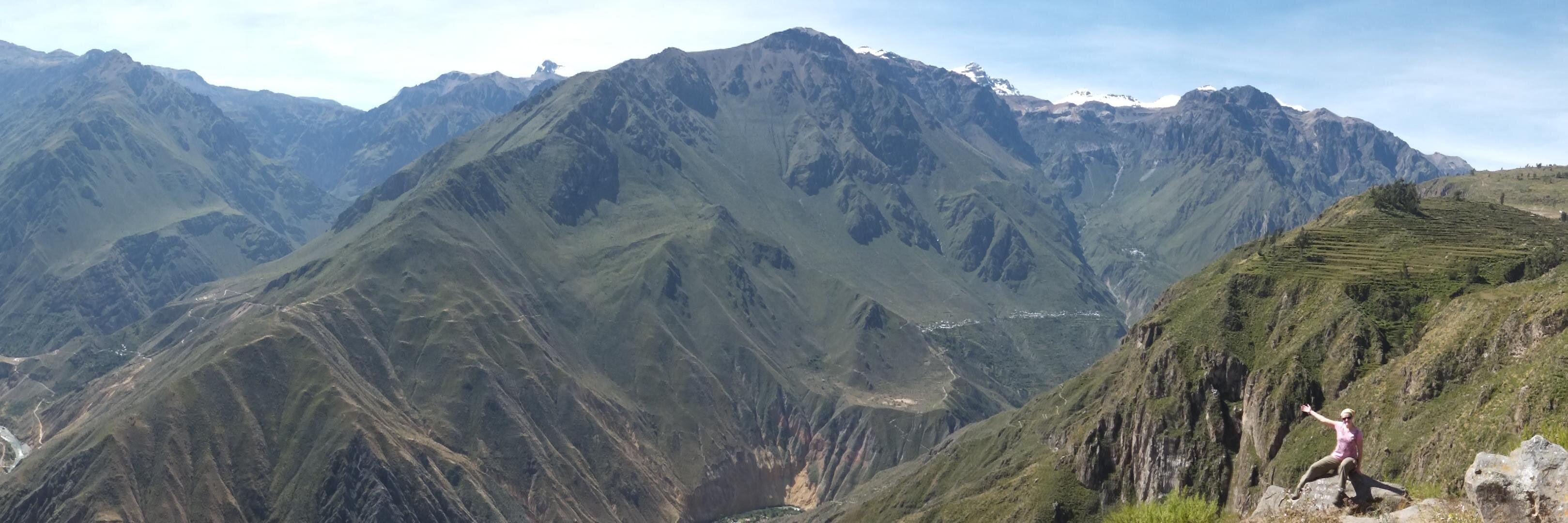 Dr. Laurie Stevison banner