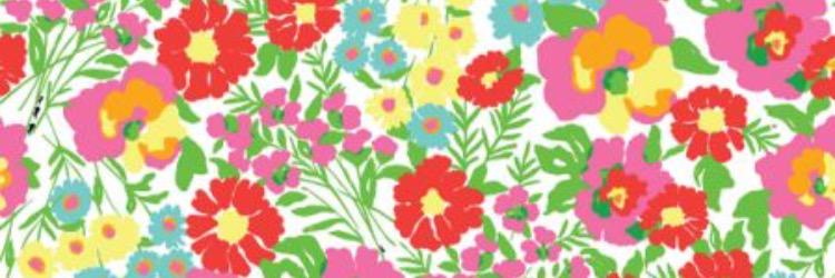 SaraProv19's profile banner image