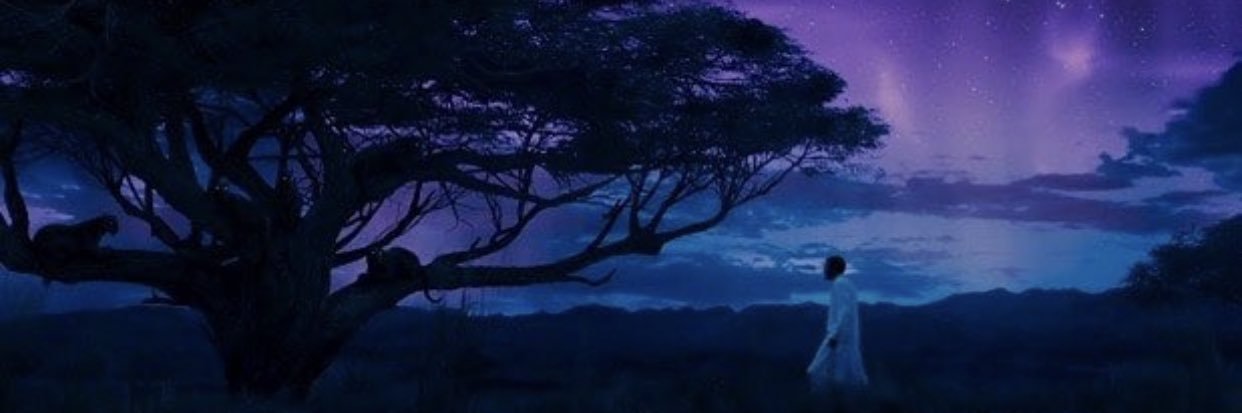 dpft_'s profile banner image