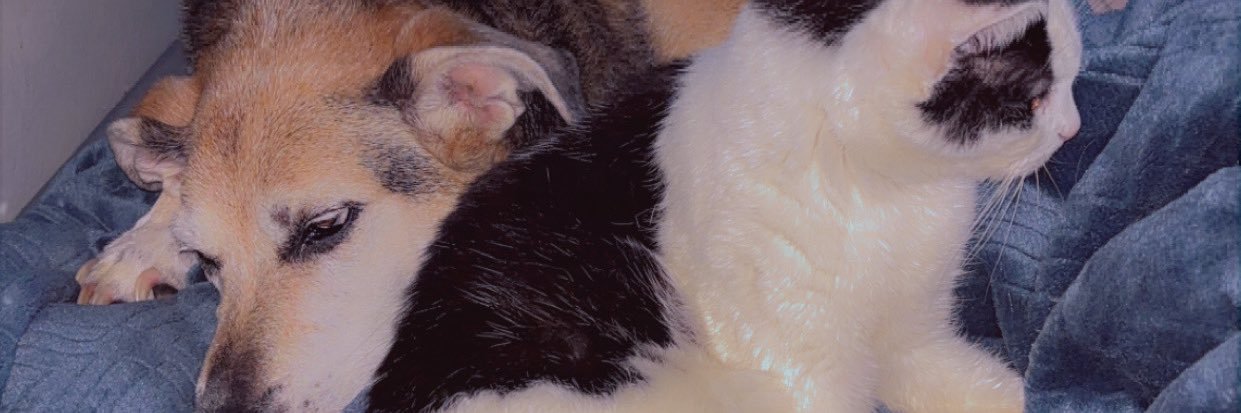 kelsiefowler22's profile banner image