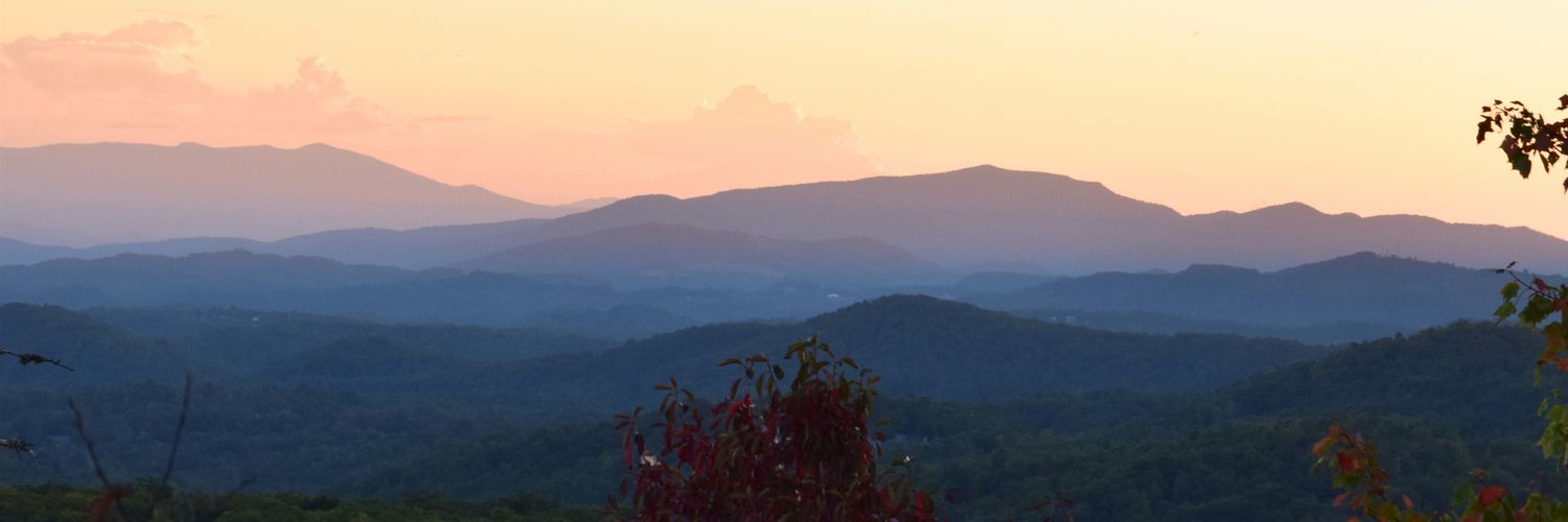 AliyahTuckman's profile banner image