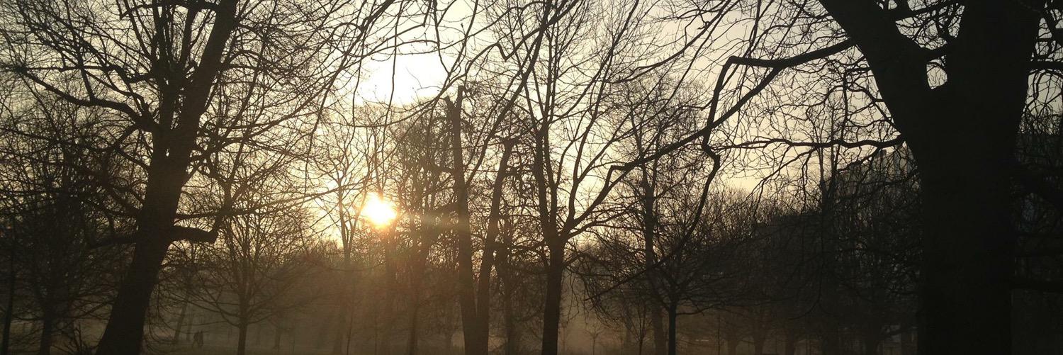 marymtweets's profile banner image