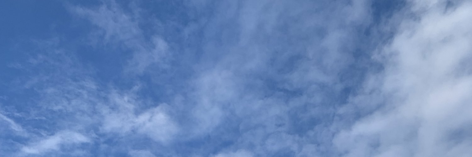MelissaBloud's profile banner image