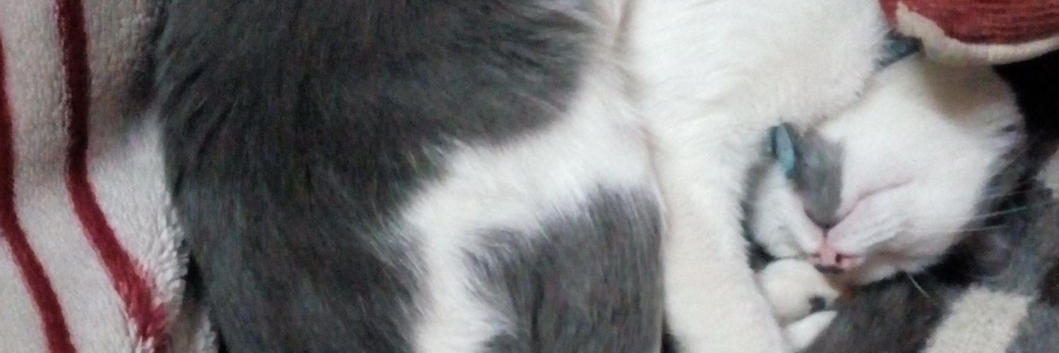FlorCenturion's profile banner image