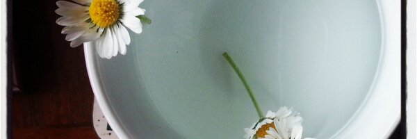 HanKay_ Profile Banner
