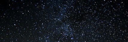 MiniHorseProbs's profile banner image