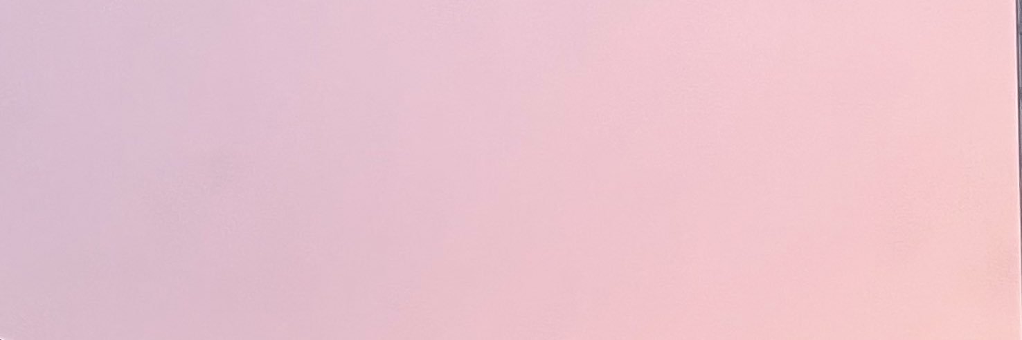 LilyEarl's profile banner image