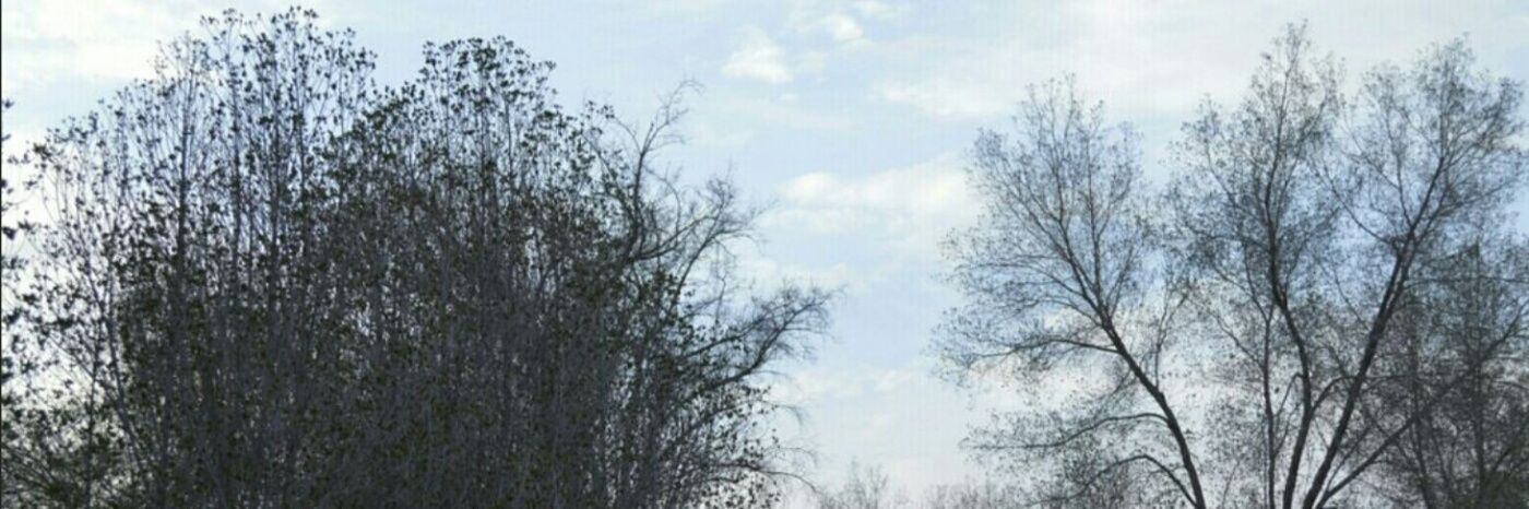 aaanwar9's profile banner image