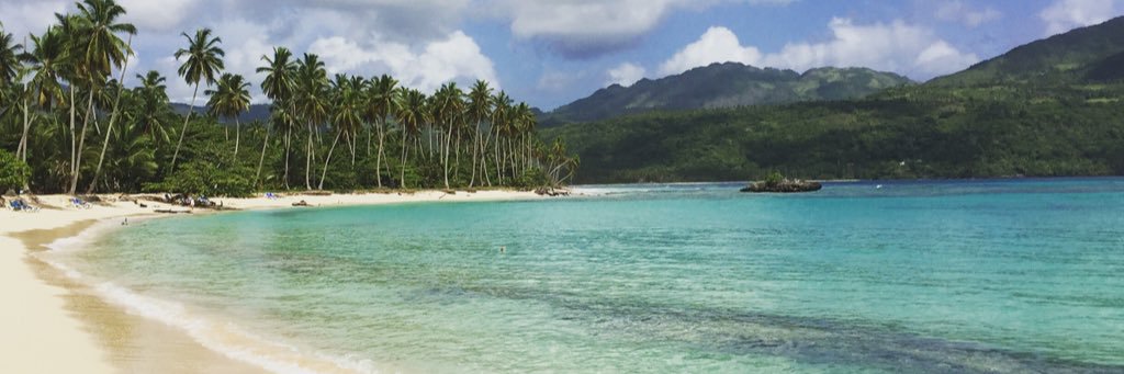 Justine Somogyi banner