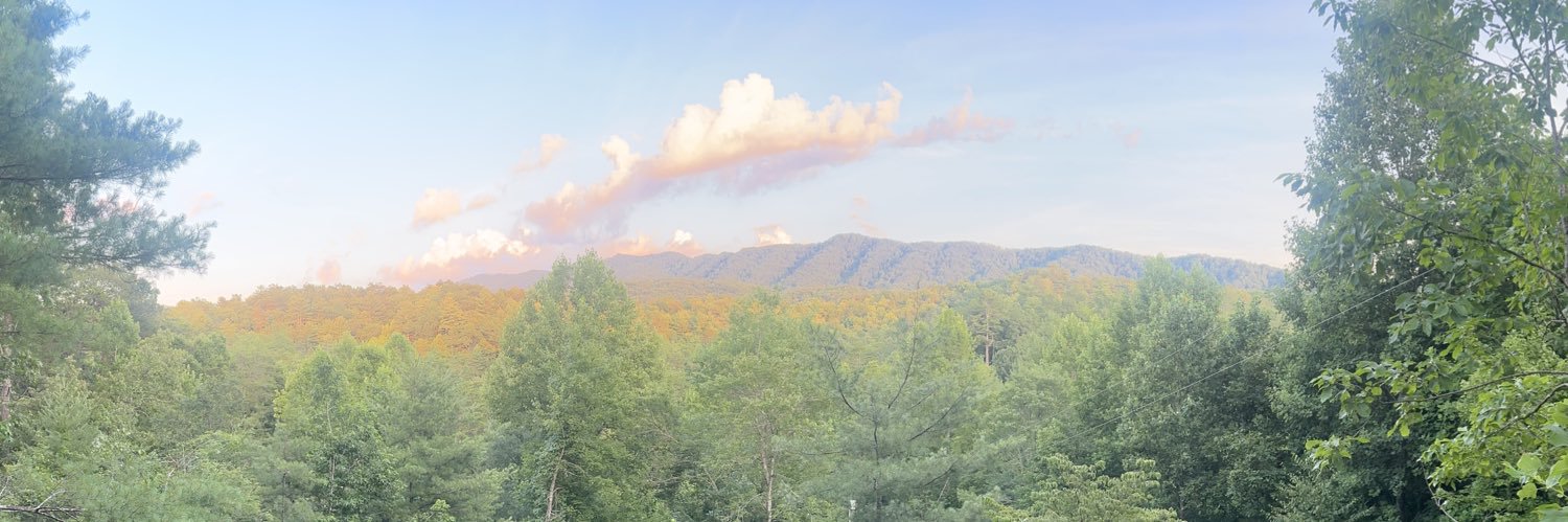 AdelleHicks's profile banner image