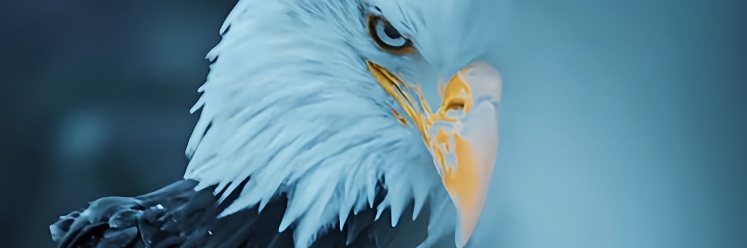 alsvndk's profile banner image