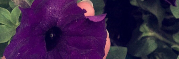 po7y's profile banner image