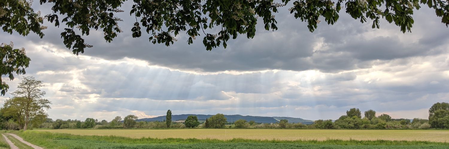 eabert16's profile banner image