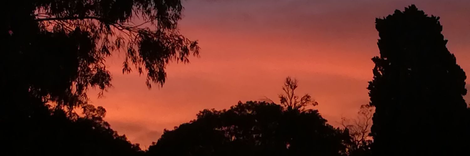 fran_arcidia's profile banner image